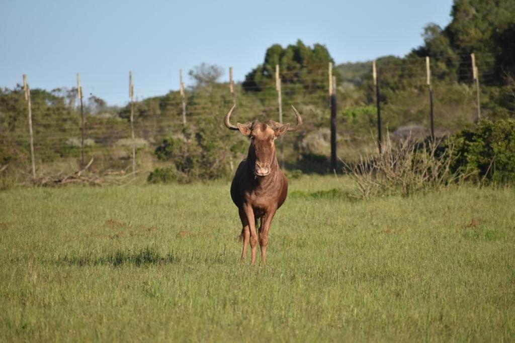 Apartmán Baardbos Private Game Reserve Stilbaai Exteriér fotografie