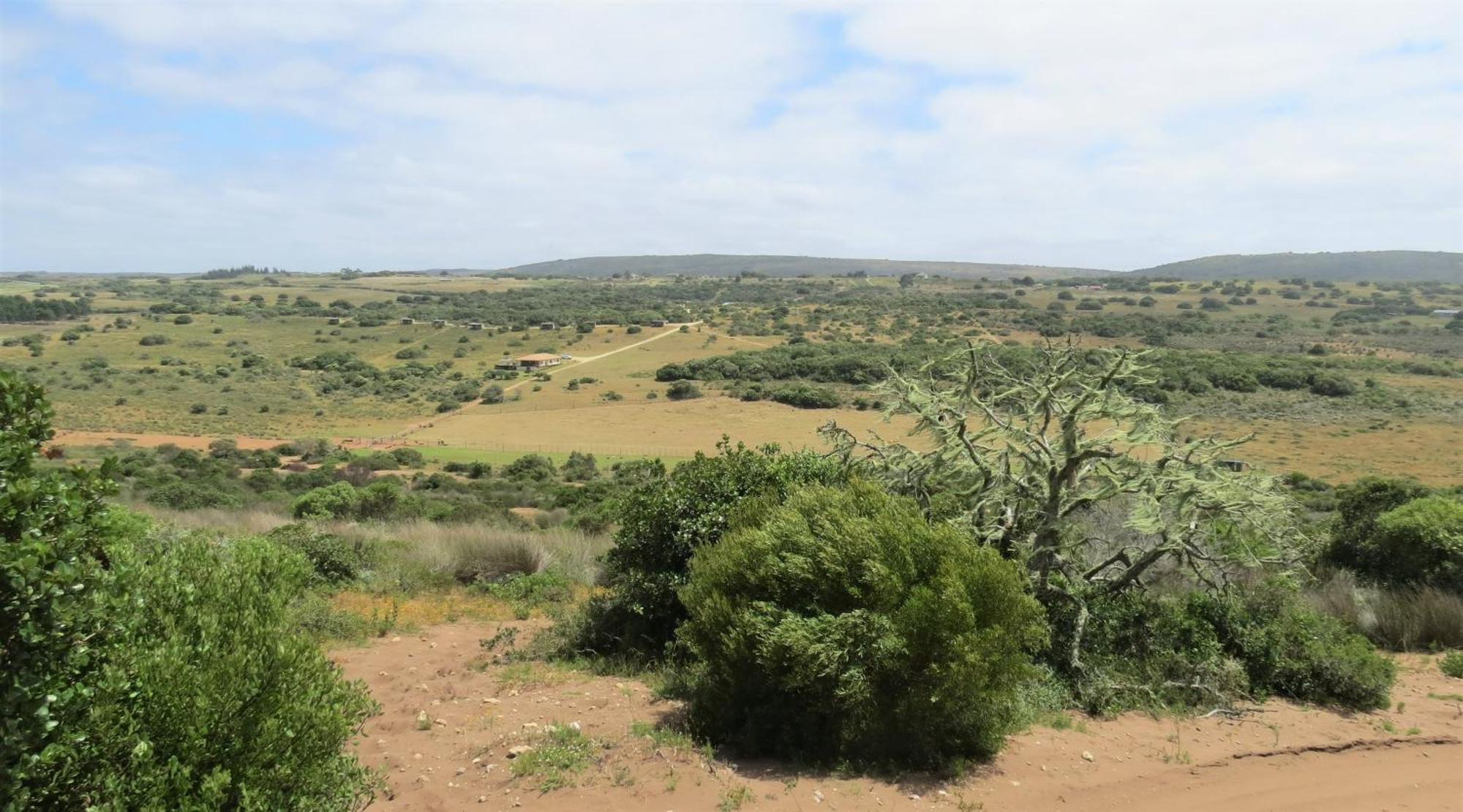 Apartmán Baardbos Private Game Reserve Stilbaai Exteriér fotografie