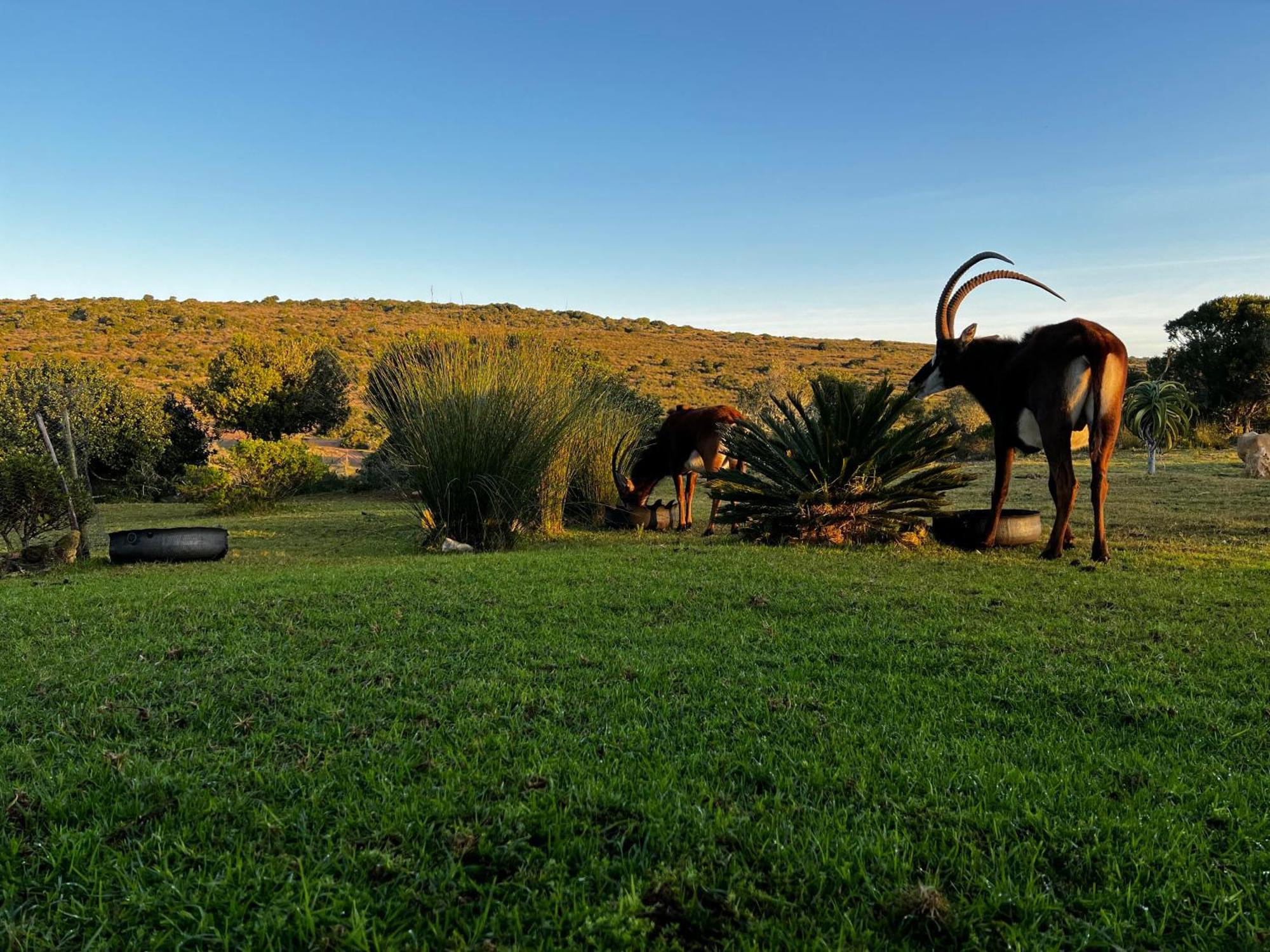 Apartmán Baardbos Private Game Reserve Stilbaai Exteriér fotografie