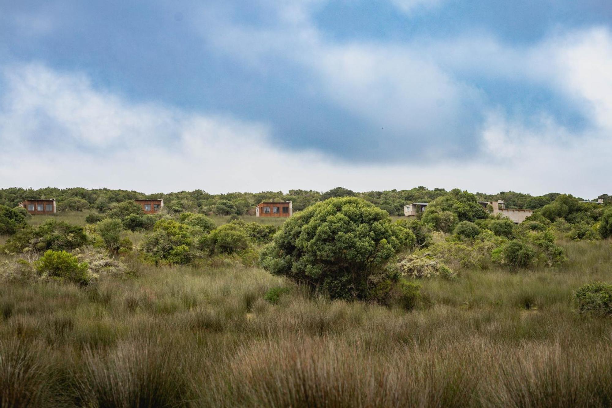 Apartmán Baardbos Private Game Reserve Stilbaai Exteriér fotografie